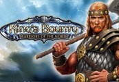 King's Bounty: Warriors Of The North Steam CD Key