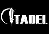 Citadel Steam CD Key