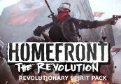 Homefront: The Revolution - Revolutionary Spirit Pack Steam CD Key