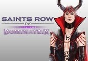 Saints Row IV - Enter the Dominatrix DLC Steam CD Key