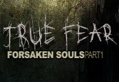 

True Fear: Forsaken Souls Steam CD Key