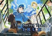 The Sacred Tears TRUE Steam CD Key