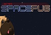 Super Space Pug Steam CD Key