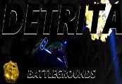Detrita Battlegrounds Steam CD Key