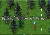 Battles Of Norghan Gold Version Bundle Steam CD Key