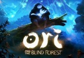 Ori And The Blind Forest Steam Gift
