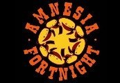 Amnesia Fortnight 2012 Steam CD Key
