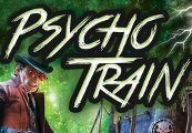 Mystery Masters: Psycho Train Deluxe Edition Steam CD Key