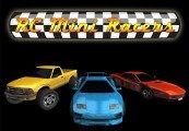 RC Mini Racers Steam CD Key