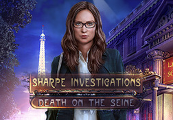 Sharpe Investigations: Death on the Seine EN Language Only Steam CD Key screenshot 2