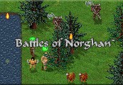 Battles Of Norghan Steam CD Key