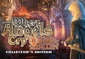 Where Angels Cry: Tears Of The Fallen Collector's Edition Steam CD Key