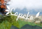 Copoka Steam CD Key