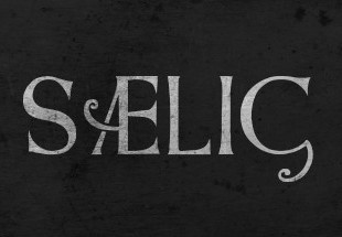 SAELIG EU PC Steam Altergift screenshot 2