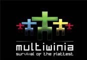 Multiwinia Steam CD Key