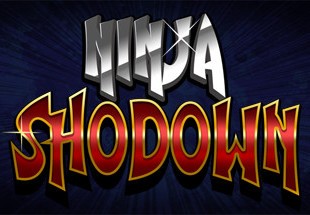 Ninja Shodown Steam CD Key
