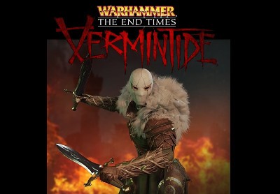 Warhammer: End Times - Vermintide - The Outsider DLC Steam CD Key