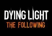 Dying Light - The Following Expansion Pack DLC Uncut EU Steam CD Key