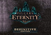 Pillars Of Eternity Definitive Edition RU VPN Activated Steam CD Key