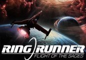 Ring Runner: Flight Of The Sages Steam Gift