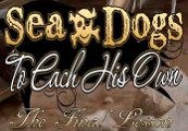 Sea Dogs: To Each His Own - The Final Lesson DLC Steam CD Key