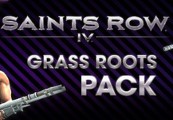 Saints Row IV - Grass Roots Pack DLC Steam CD Key