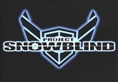 Project: Snowblind Steam Gift