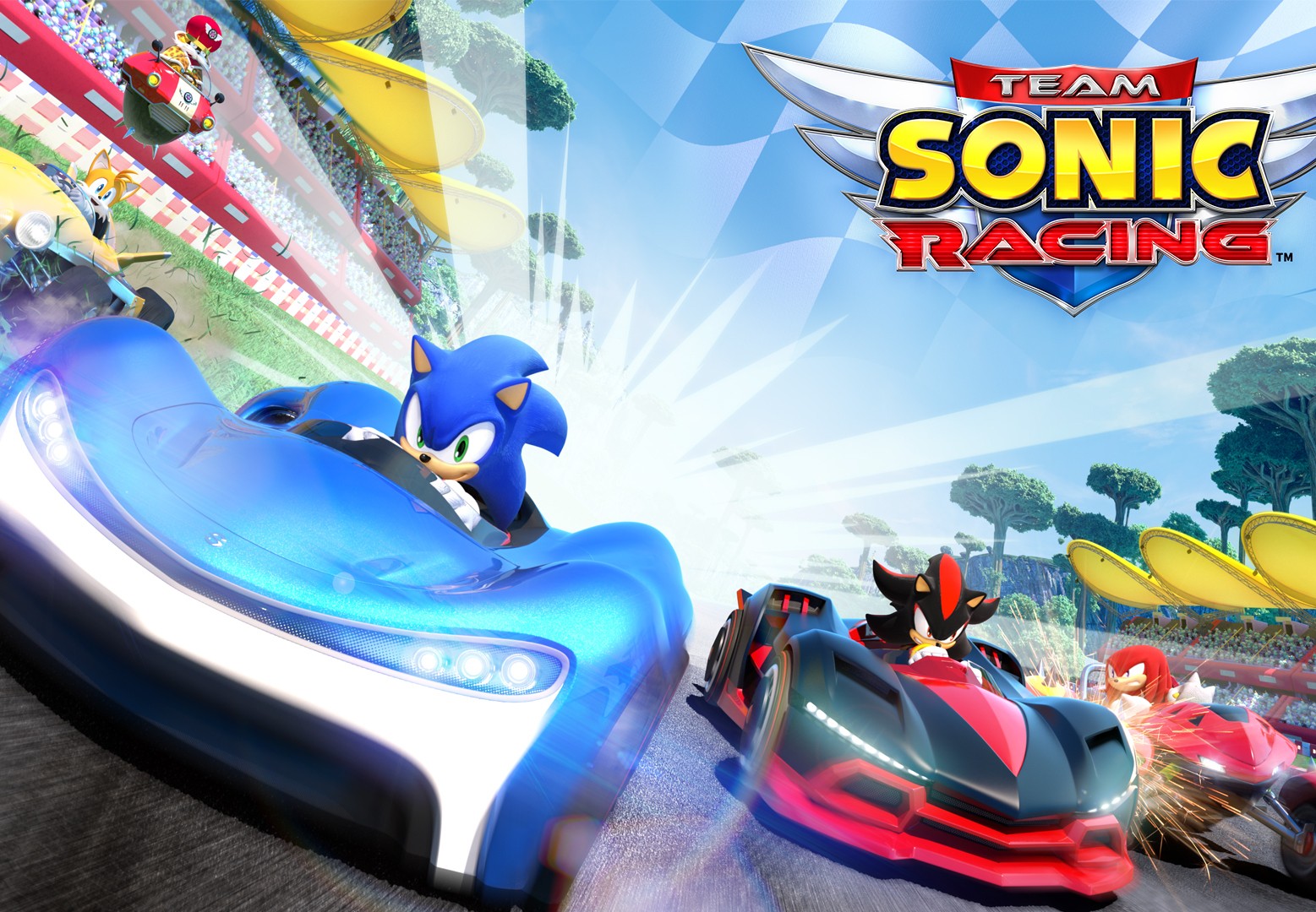 Team Sonic Racing PlayStation 4 Account