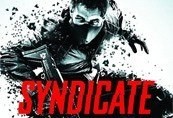 Syndicate Limited Edition Origin CD Key