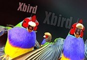 Xbird Steam CD Key