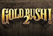 Gold Rush! 2 Steam CD Key