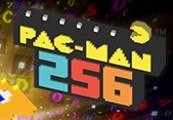 PAC-MAN 256 Steam CD Key