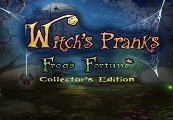 Witchs Pranks: Frogs Fortune Collectors Edition Steam CD Key