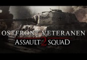 Men of War: Assault Squad 2 - Ostfront Veteranen DLC Steam CD Key