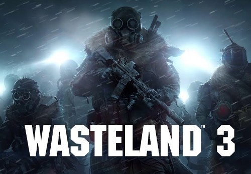 Wasteland 3 EN Language Only Steam CD Key