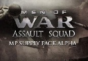 Men of War: Assault Squad - MP Supply Pack Alpha DLC PC Steam CD Key screenshot 2