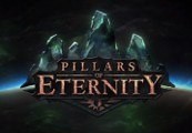 Pillars of Eternity Definitive Edition EU PC Steam CD Key