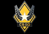 CS:GO - Series 1 - Victory Collectible Pin screenshot 2
