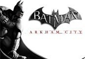 Batman: Arkham City PC Steam CD Key