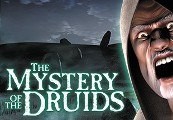 The Mystery of the Druids PC Steam CD Key