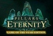 Pillars of Eternity Game of the Year Edition Steam CD Key