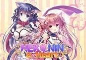 NEKO-NIN exHeart PC Steam CD Key screenshot 2