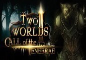 Two Worlds II HD: Call of the Tenebrae Steam CD Key screenshot 2