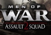 Men of War: Assault Squad 2 - Cold War RU/CIS PC Steam CD Key screenshot 2