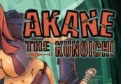 Akane the Kunoichi PC Steam CD Key screenshot 2