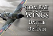 Combat Wings: Battle of Britain EMEA Steam CD Key screenshot 2