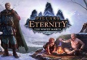 Pillars of Eternity: Hero Edition + The White March (Part 1) Steam CD Key