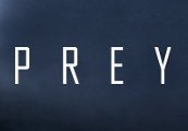 Prey Day One Edition Steam CD Key screenshot 2
