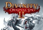 Divinity: Original Sin 2 – Divine Edition EU Steam Altergift