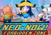 NEO-NOW! PC Steam CD Key